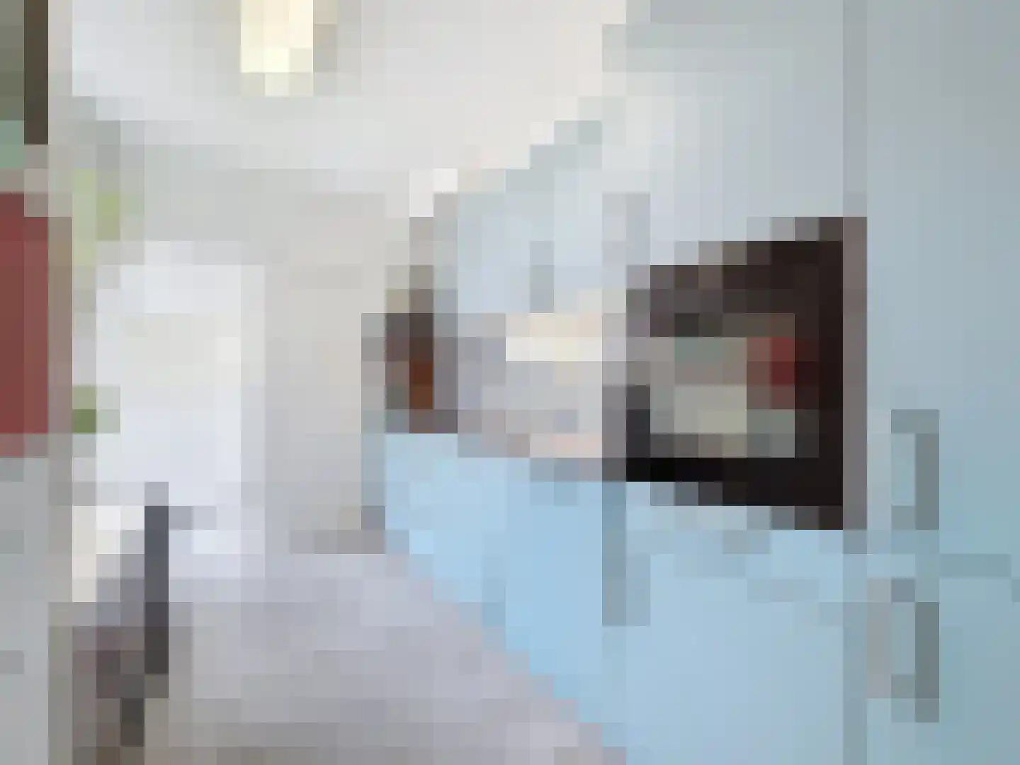 Oude Rijksweg 50 Breskens thumbnail 9