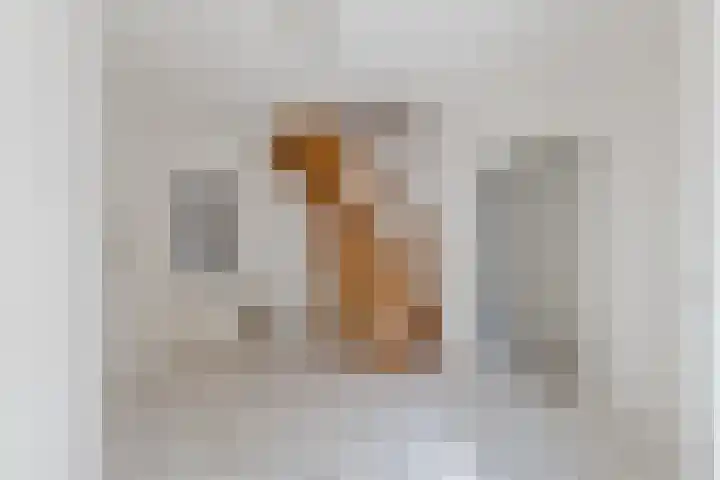 Oude Rijksweg 511 a Rouveen thumbnail 19