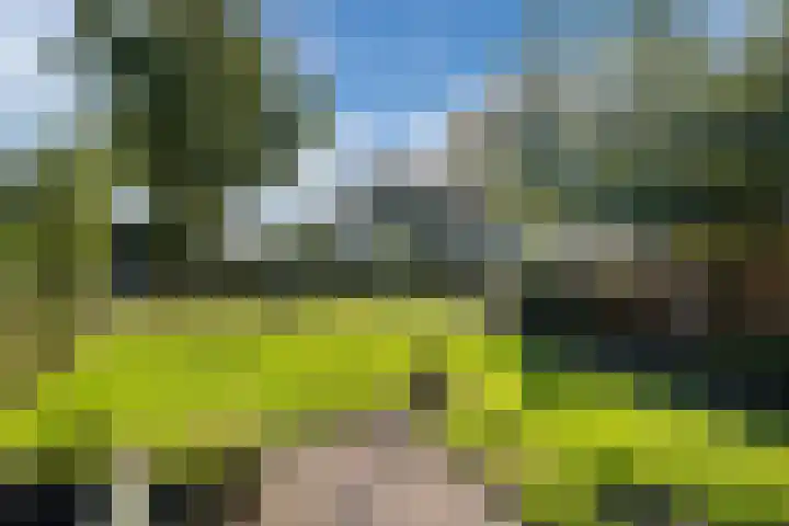 Oude Rijksweg 511 a Rouveen thumbnail 34