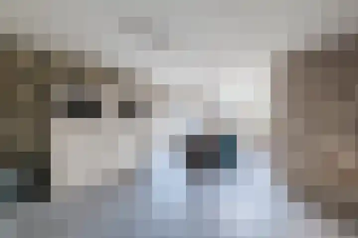 Oude Rijksweg 511 a Rouveen thumbnail 9
