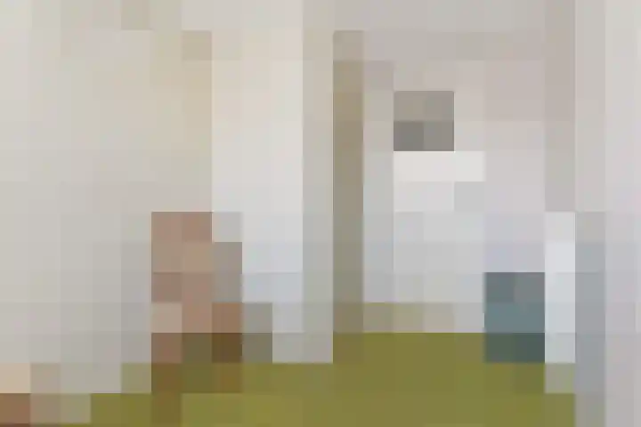 Oude Rijksweg 52 Nieuw- en Sint Joosland thumbnail 20