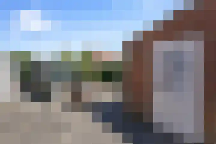Oude Rijksweg 52 Nieuw- en Sint Joosland thumbnail 26