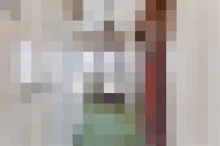 Oude Rijksweg 52 Nieuw- en Sint Joosland thumbnail 5