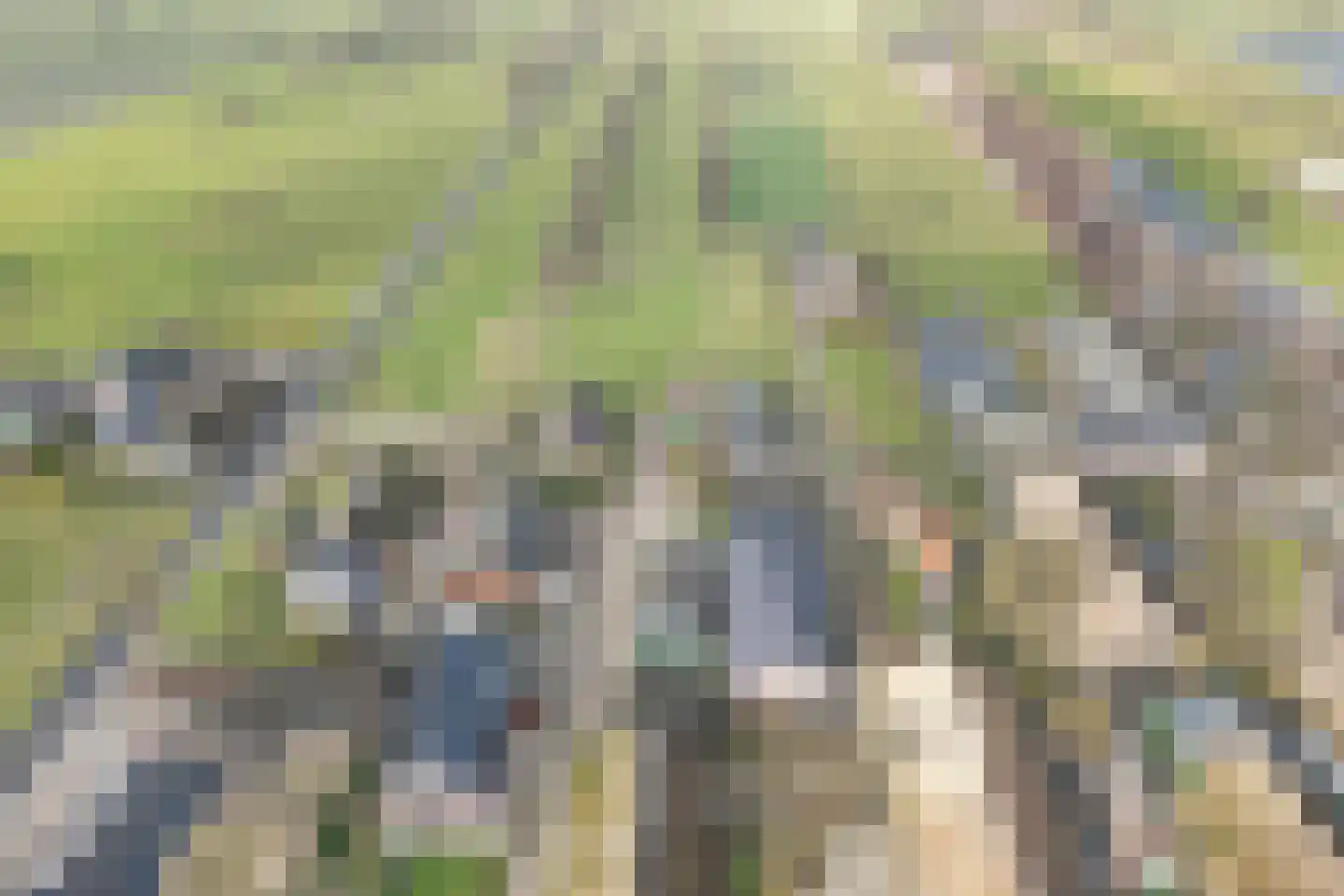 Oude Rijksweg 54 Staphorst thumbnail 4