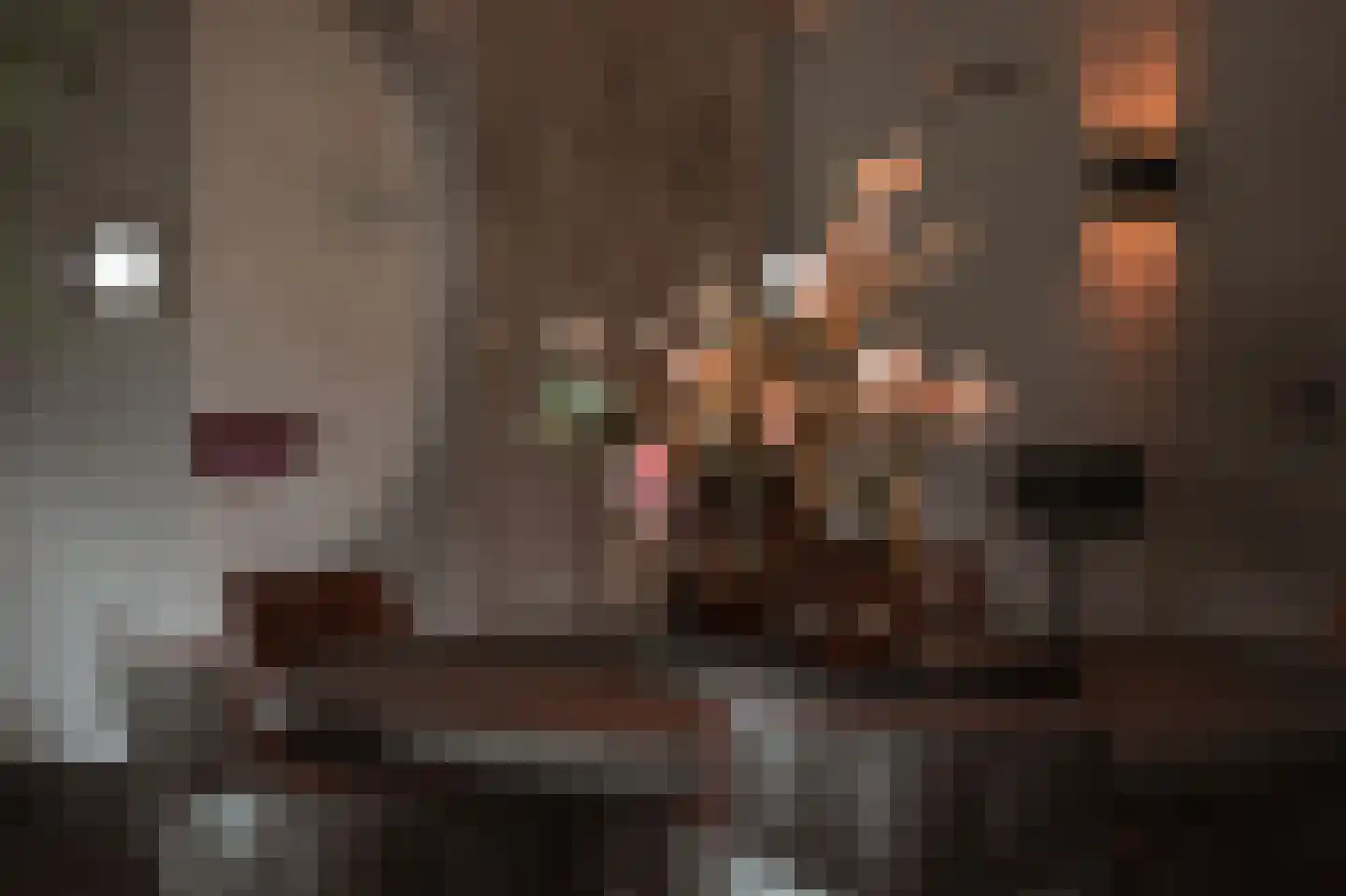 Oude Rijksweg 6 Helvoirt thumbnail 13