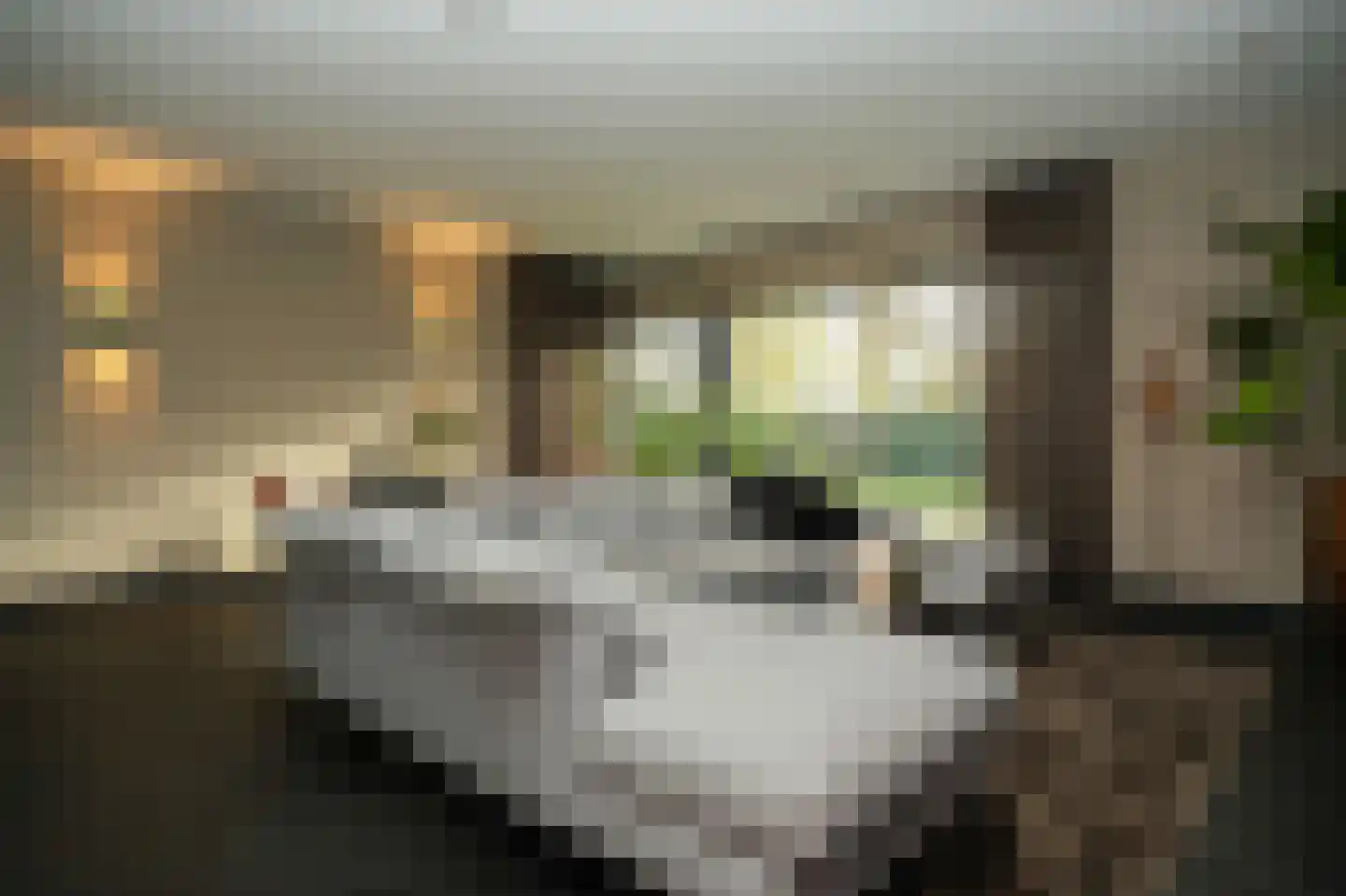 Oude Rijksweg 6 Helvoirt thumbnail 33