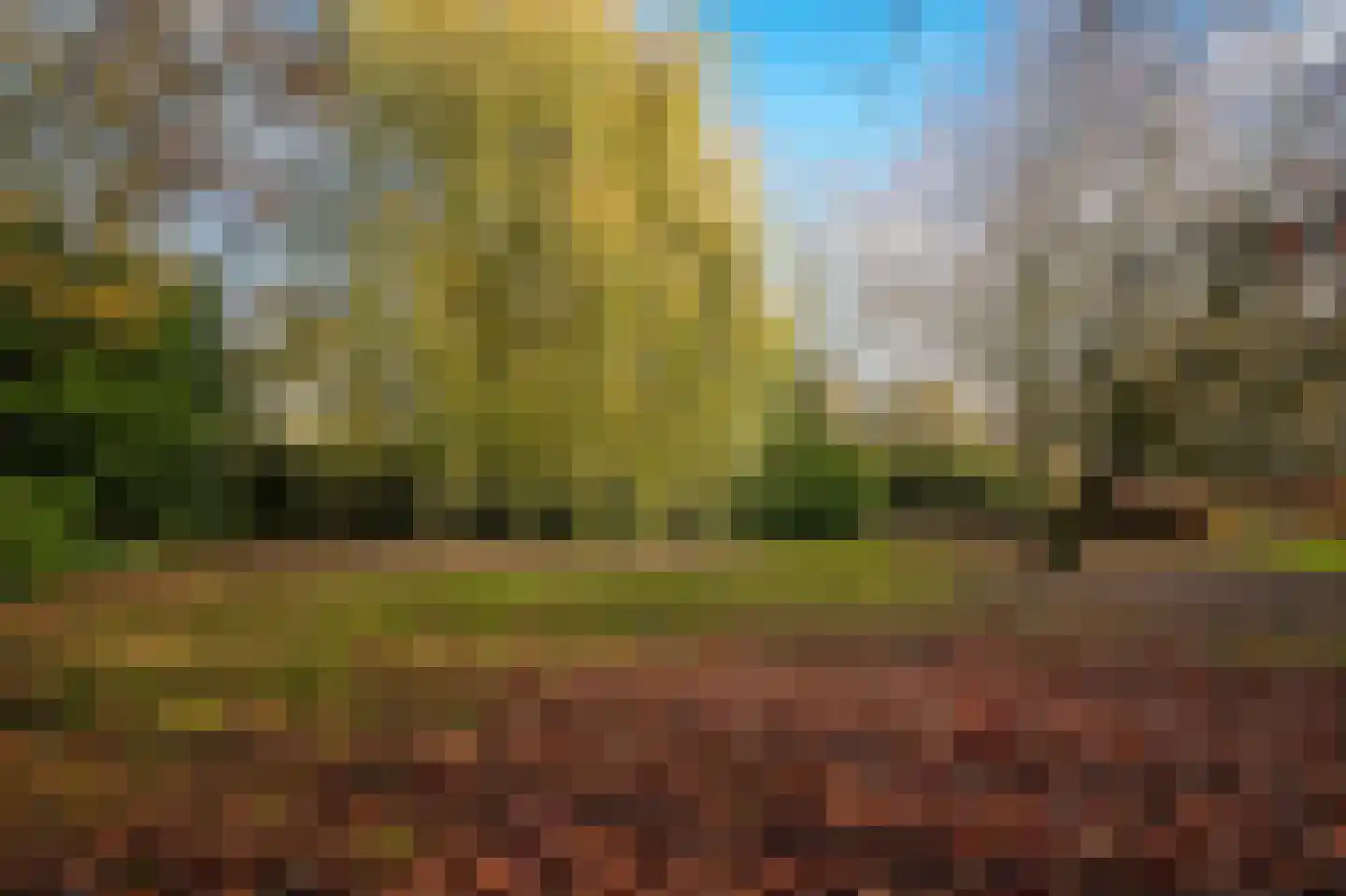 Oude Rijksweg 6 Helvoirt thumbnail 48