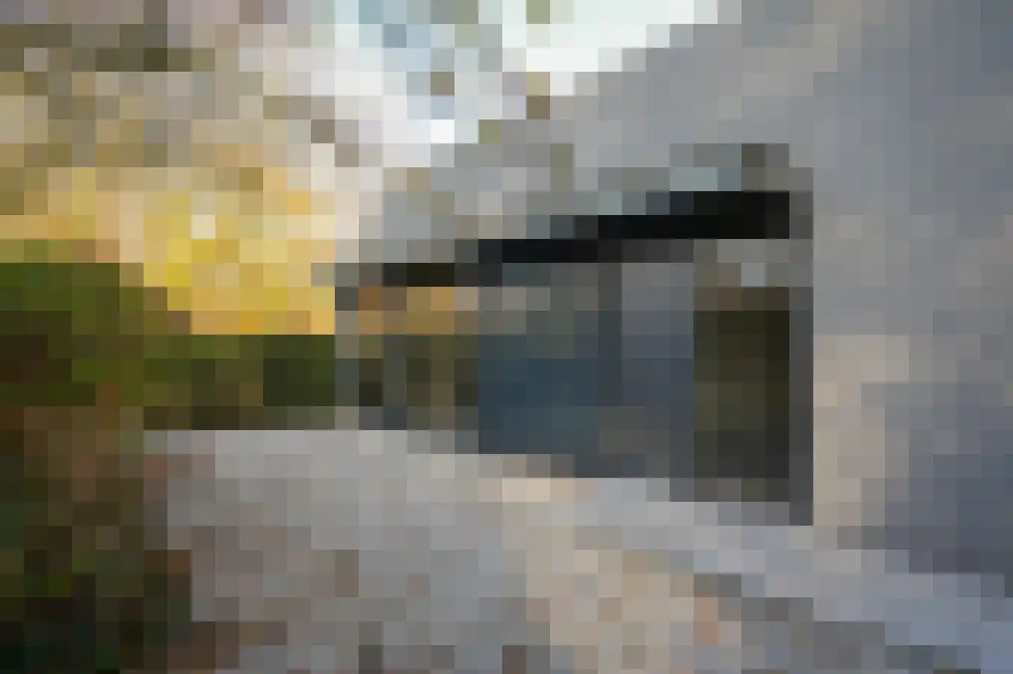 Oude Rijksweg 6 Helvoirt thumbnail 53