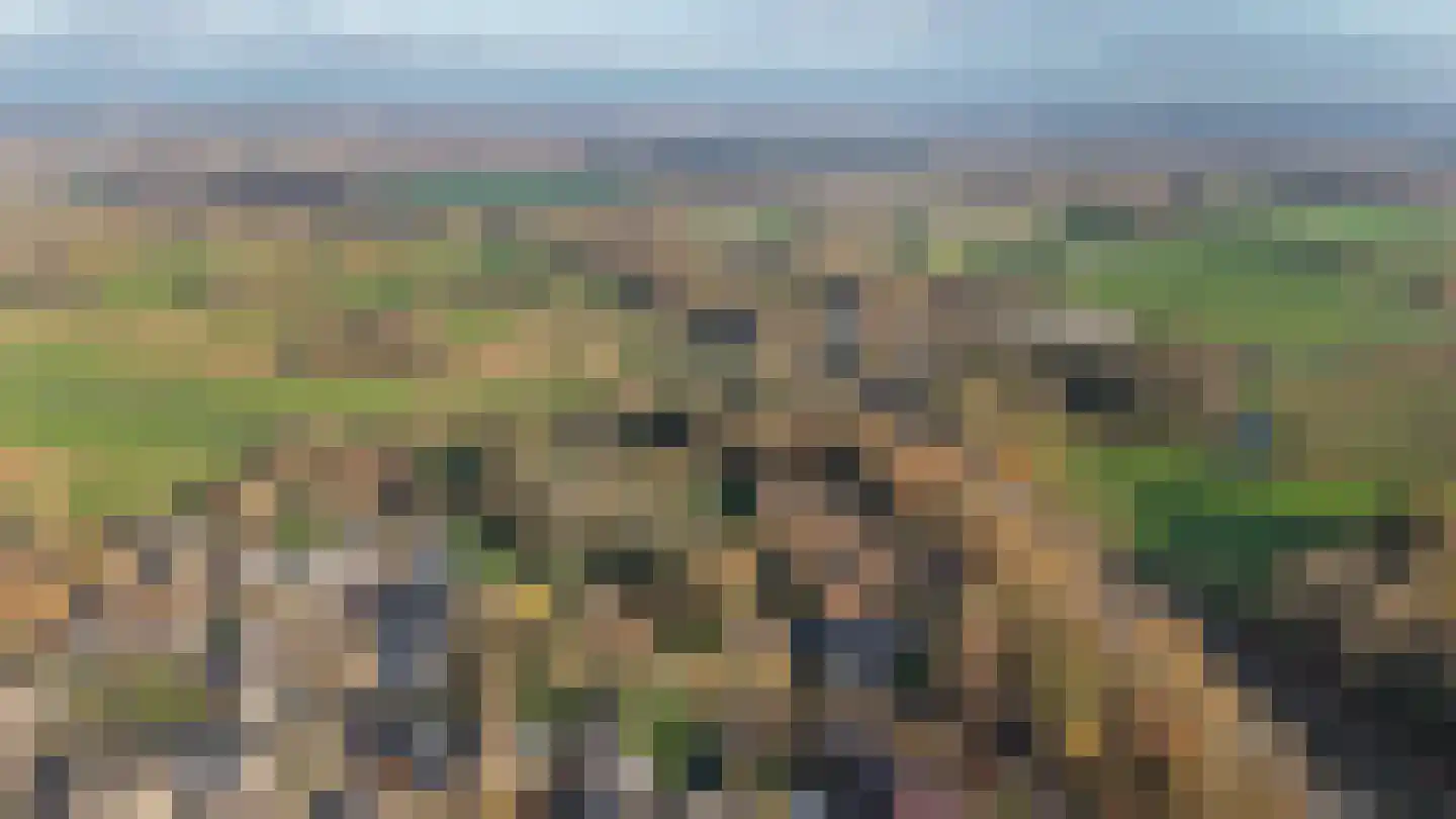 Oude Rijksweg 6 Helvoirt thumbnail 62