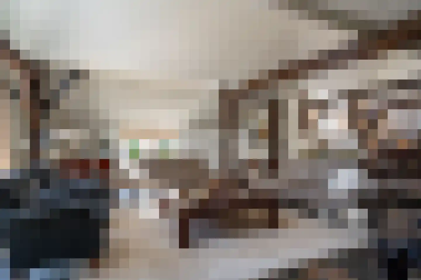 Oude Rijksweg 681 Rouveen thumbnail 11