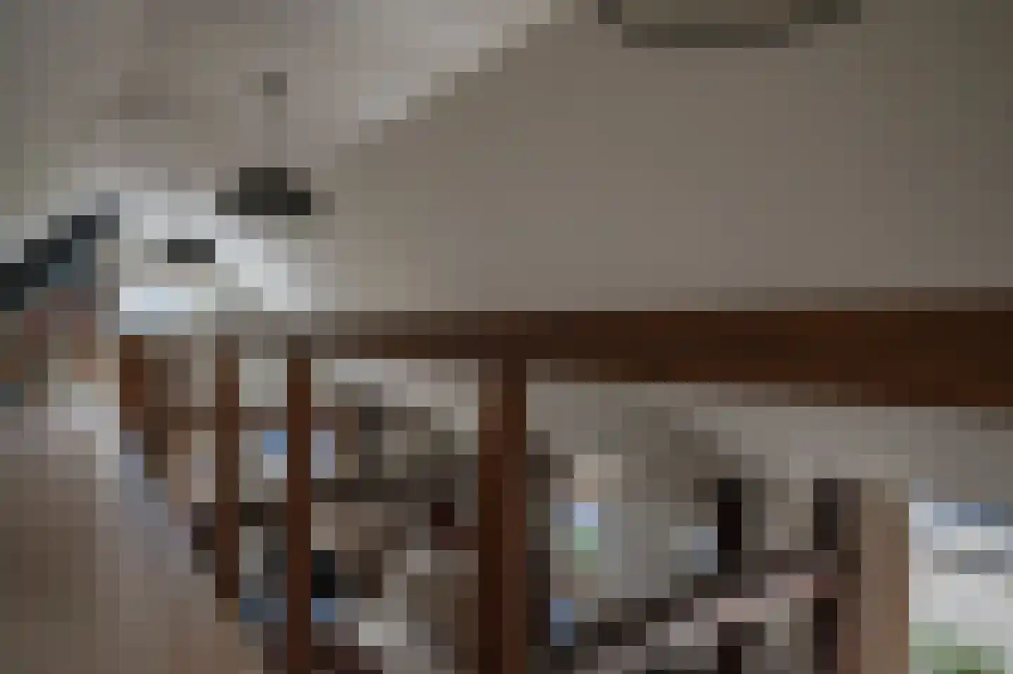 Oude Rijksweg 681 Rouveen thumbnail 13