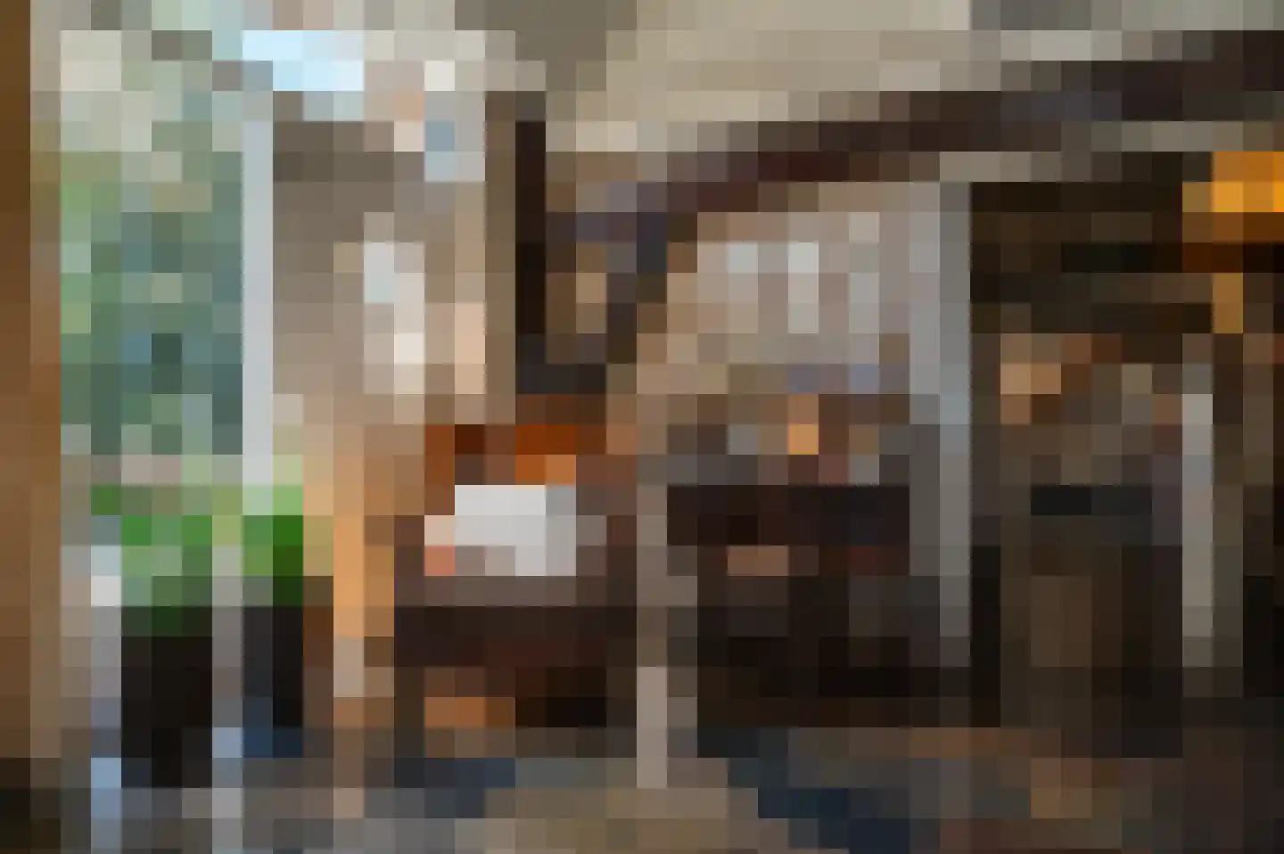 Oude Rijksweg 681 Rouveen thumbnail 15