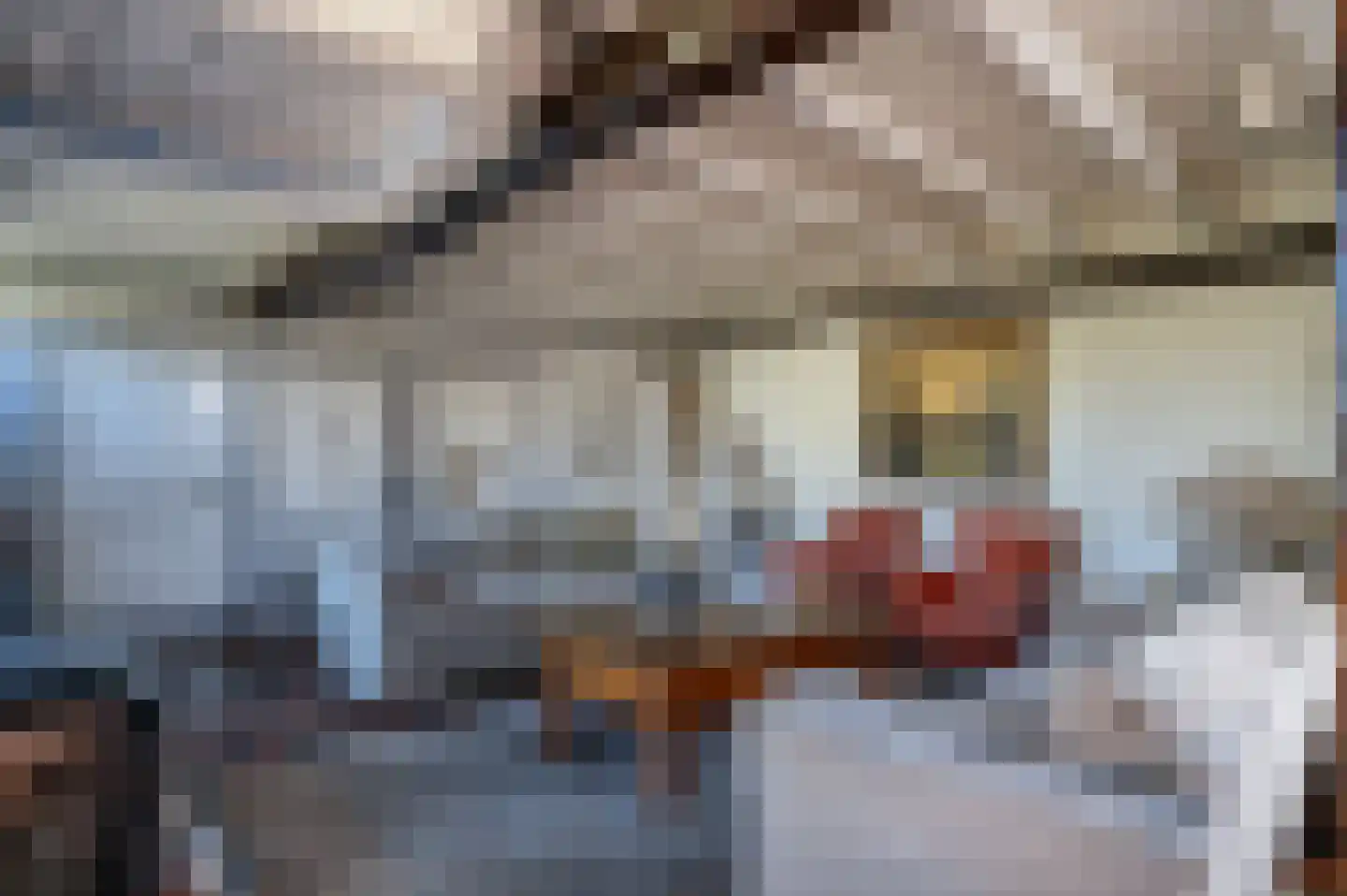 Oude Rijksweg 681 Rouveen thumbnail 20