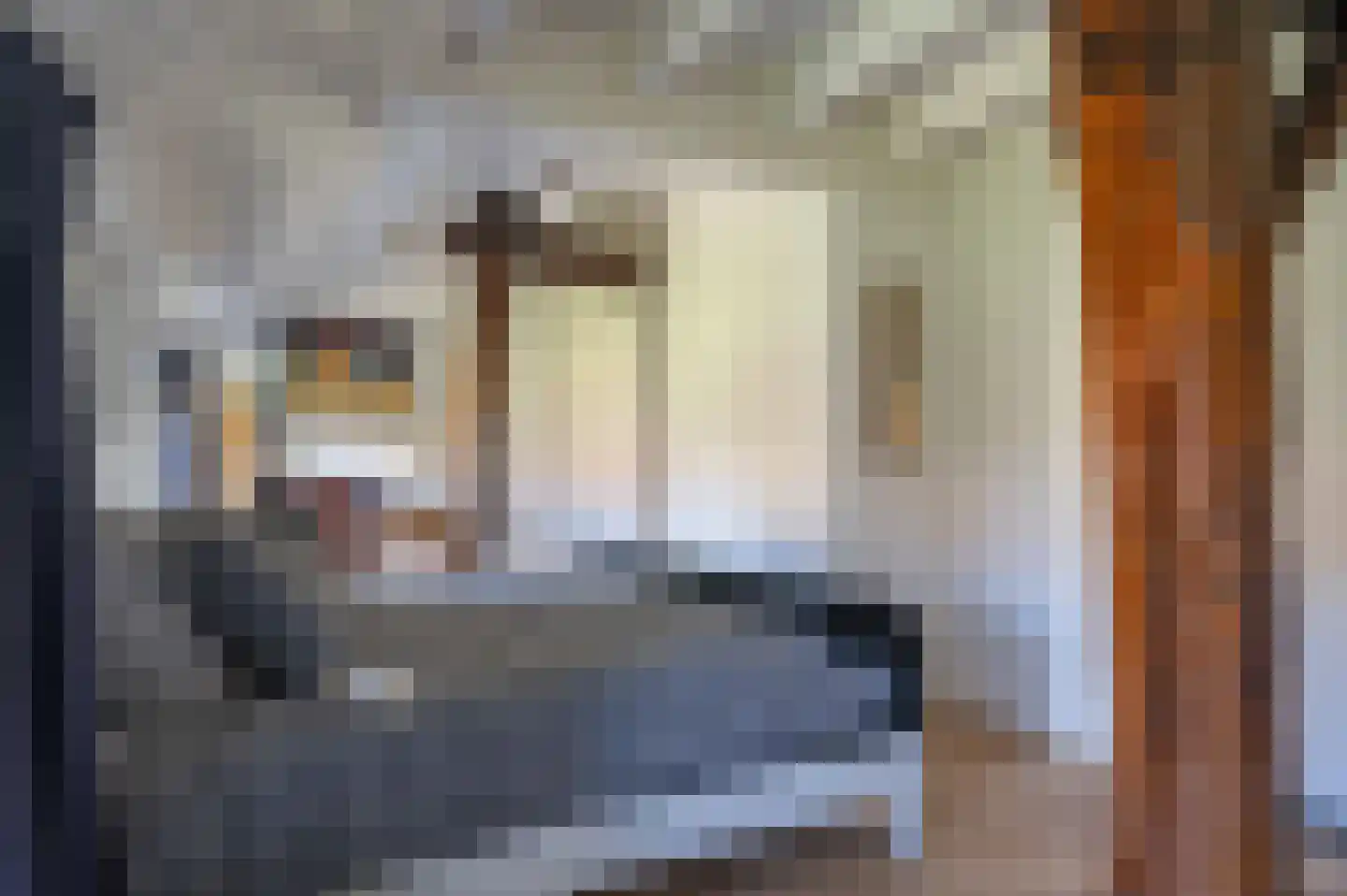 Oude Rijksweg 681 Rouveen thumbnail 29