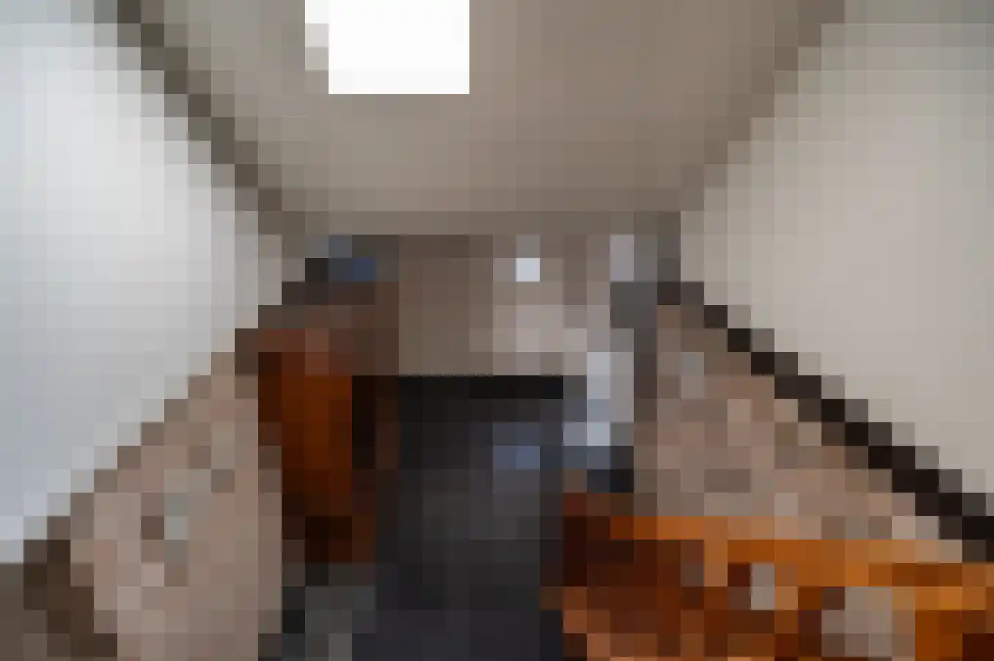 Oude Rijksweg 681 Rouveen thumbnail 31