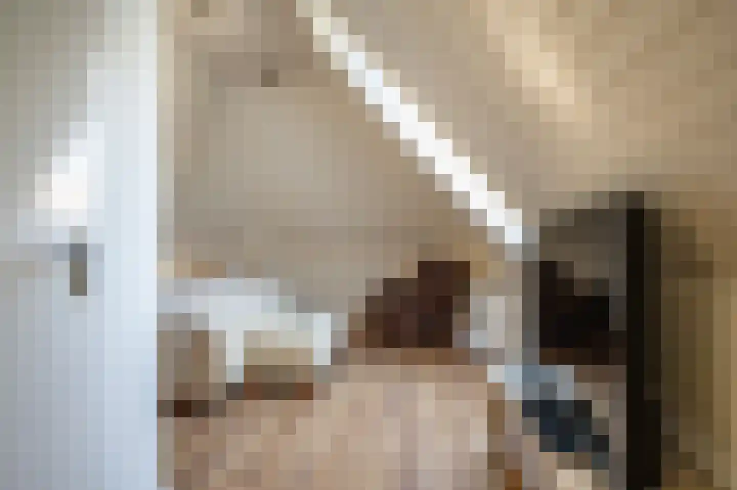 Oude Rijksweg 681 Rouveen thumbnail 32