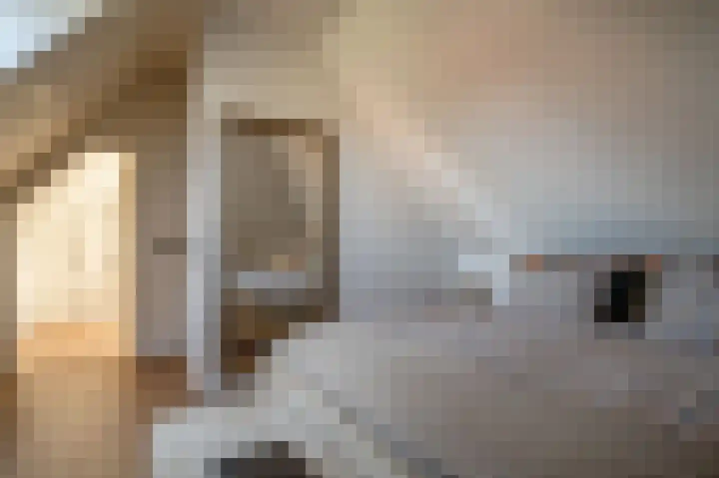 Oude Rijksweg 681 Rouveen thumbnail 33