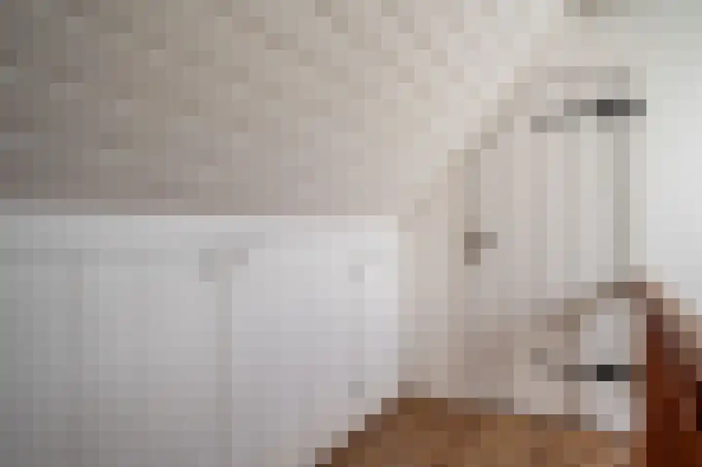 Oude Rijksweg 681 Rouveen thumbnail 34