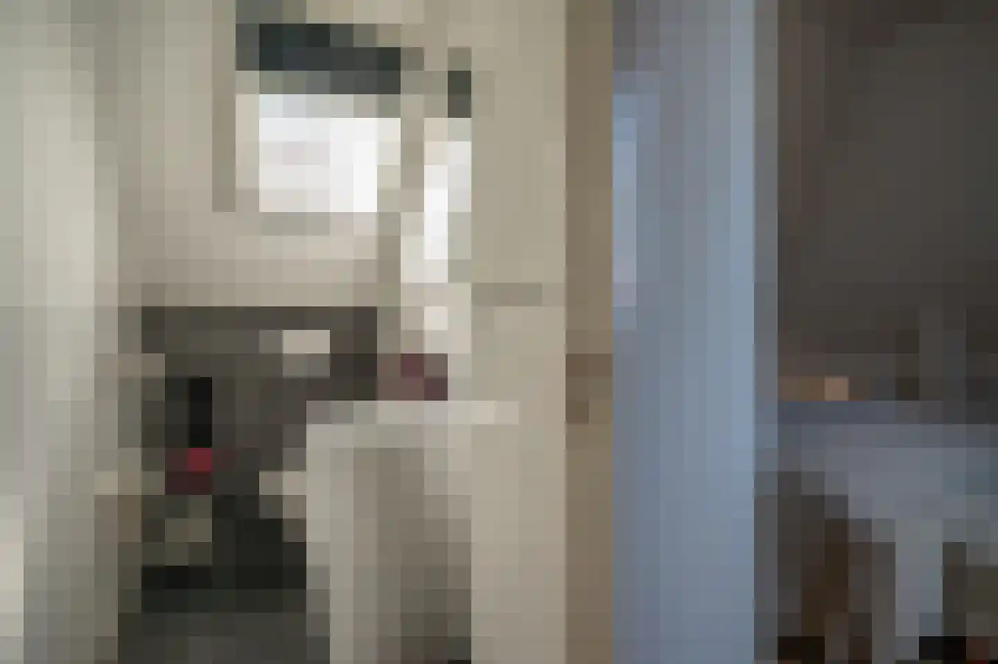 Oude Rijksweg 681 Rouveen thumbnail 35