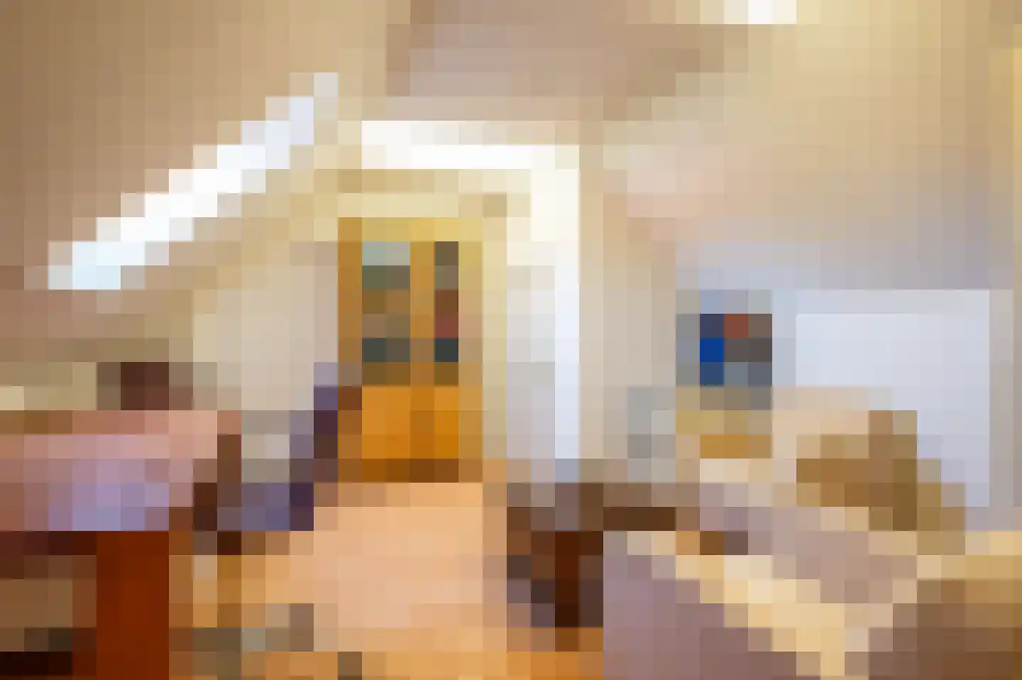 Oude Rijksweg 681 Rouveen thumbnail 37