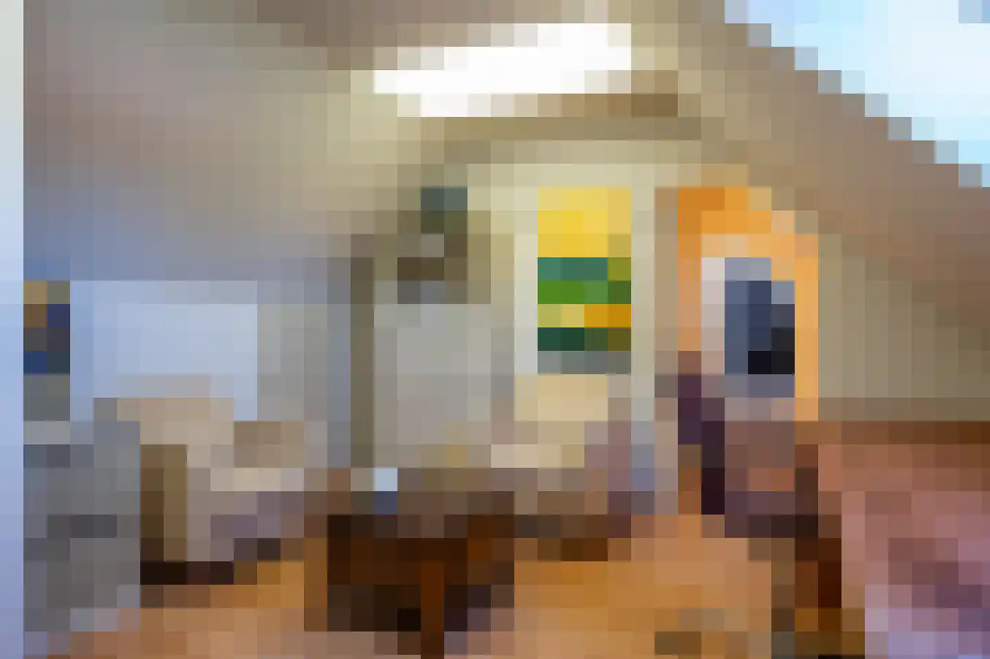 Oude Rijksweg 681 Rouveen thumbnail 38