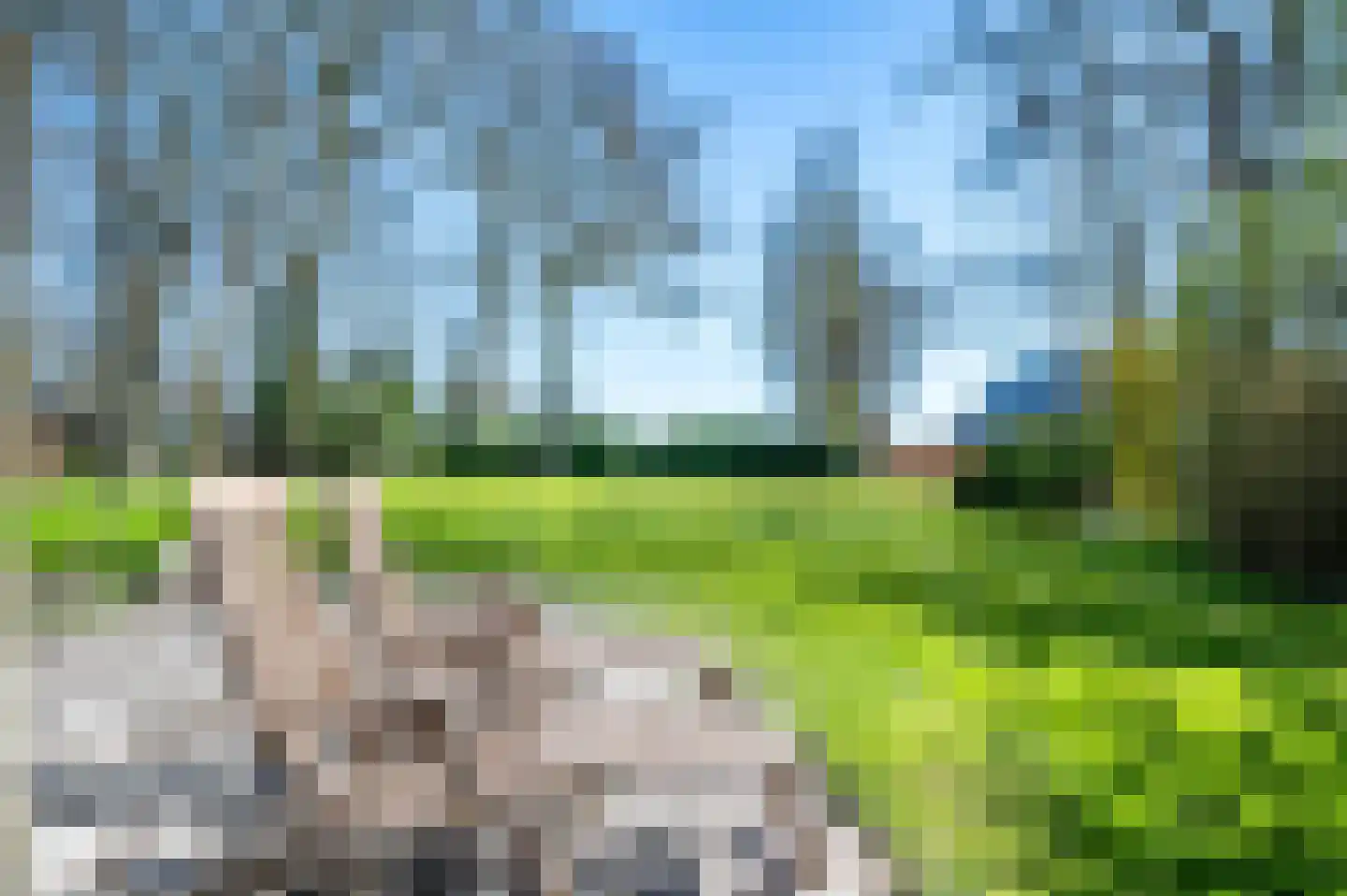 Oude Rijksweg 681 Rouveen thumbnail 49