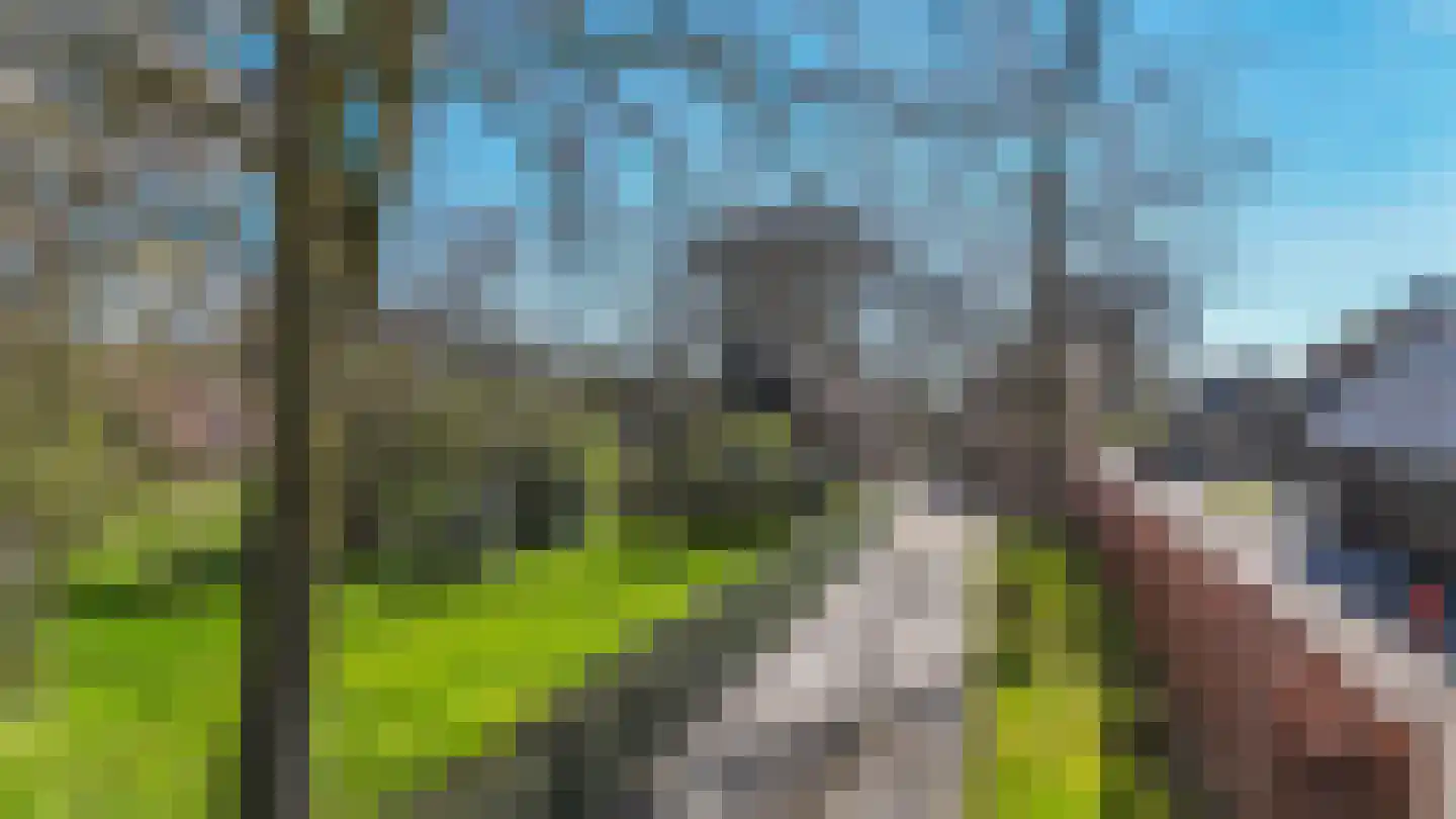 Oude Rijksweg 681 Rouveen thumbnail 52