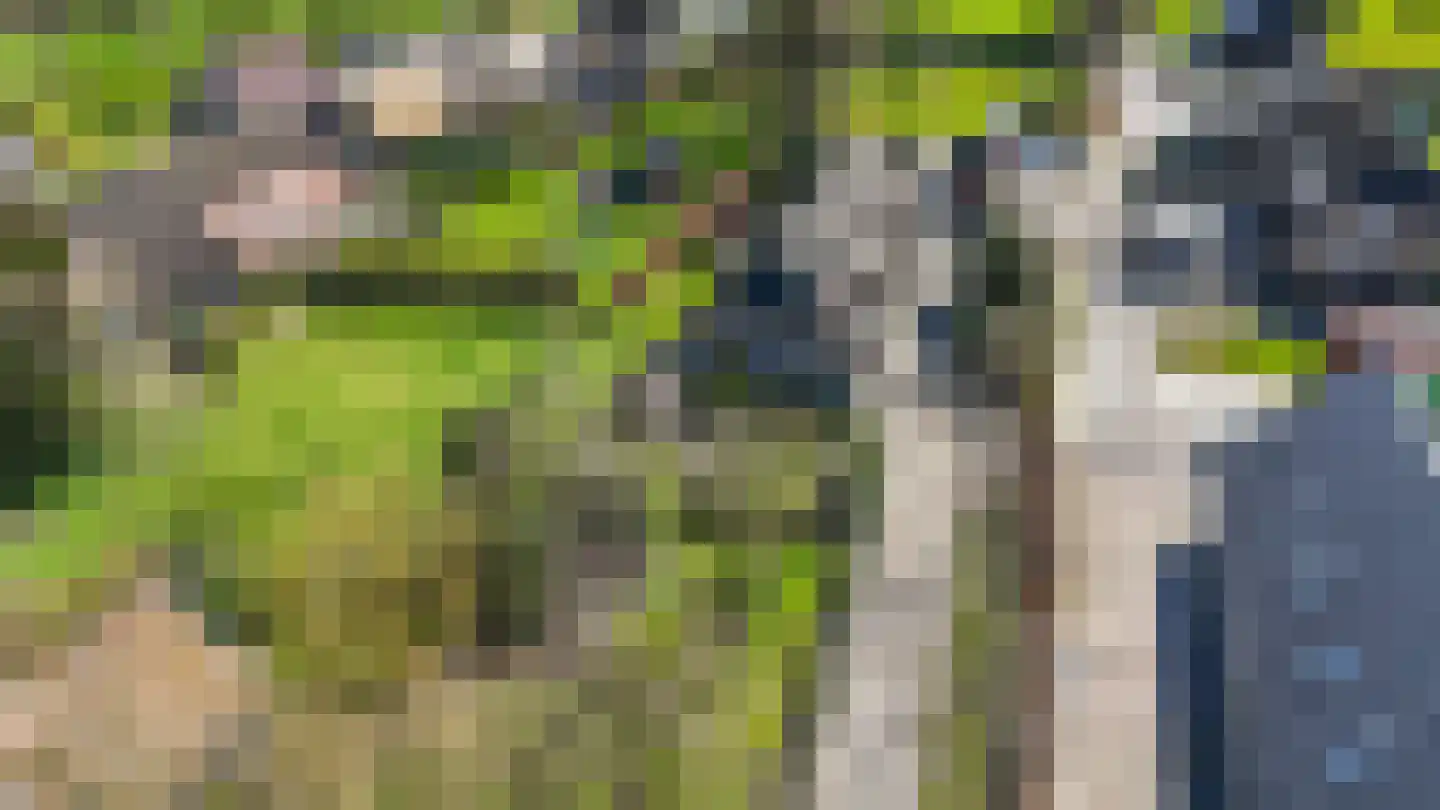 Oude Rijksweg 681 Rouveen thumbnail 53