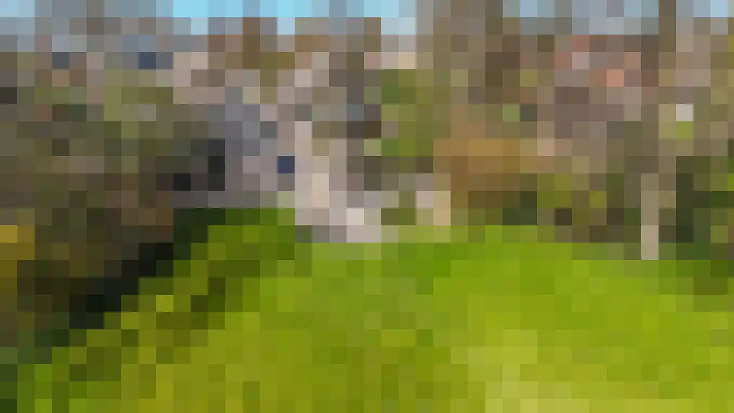 Oude Rijksweg 681 Rouveen thumbnail 54
