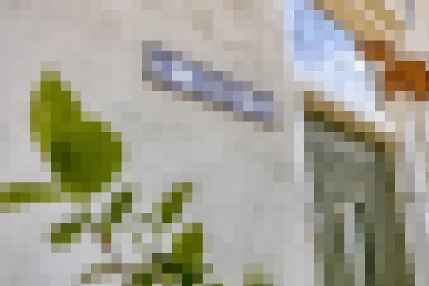 Oude Rijksweg 72 Rilland thumbnail 12