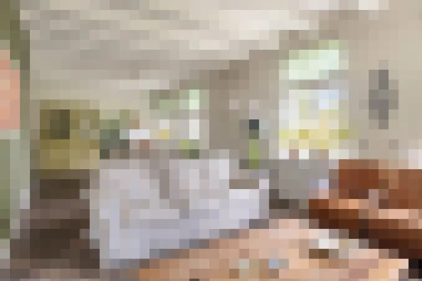 Oude Rijksweg 72 Rilland thumbnail 15