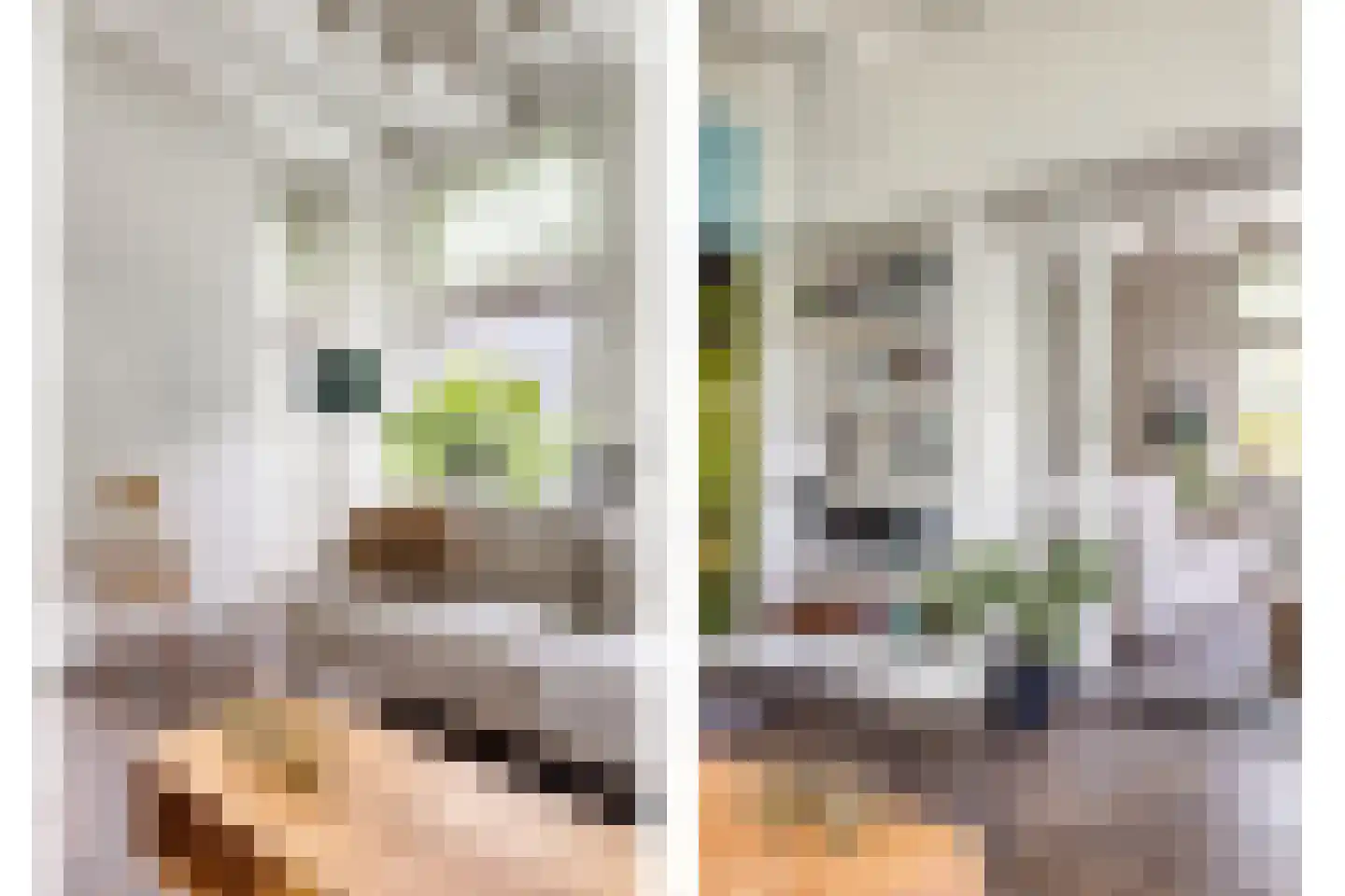 Oude Rijksweg 72 Rilland thumbnail 20