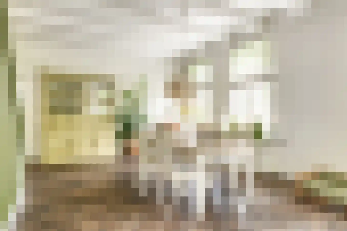 Oude Rijksweg 72 Rilland thumbnail 22