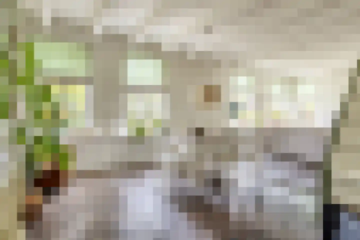 Oude Rijksweg 72 Rilland thumbnail 23