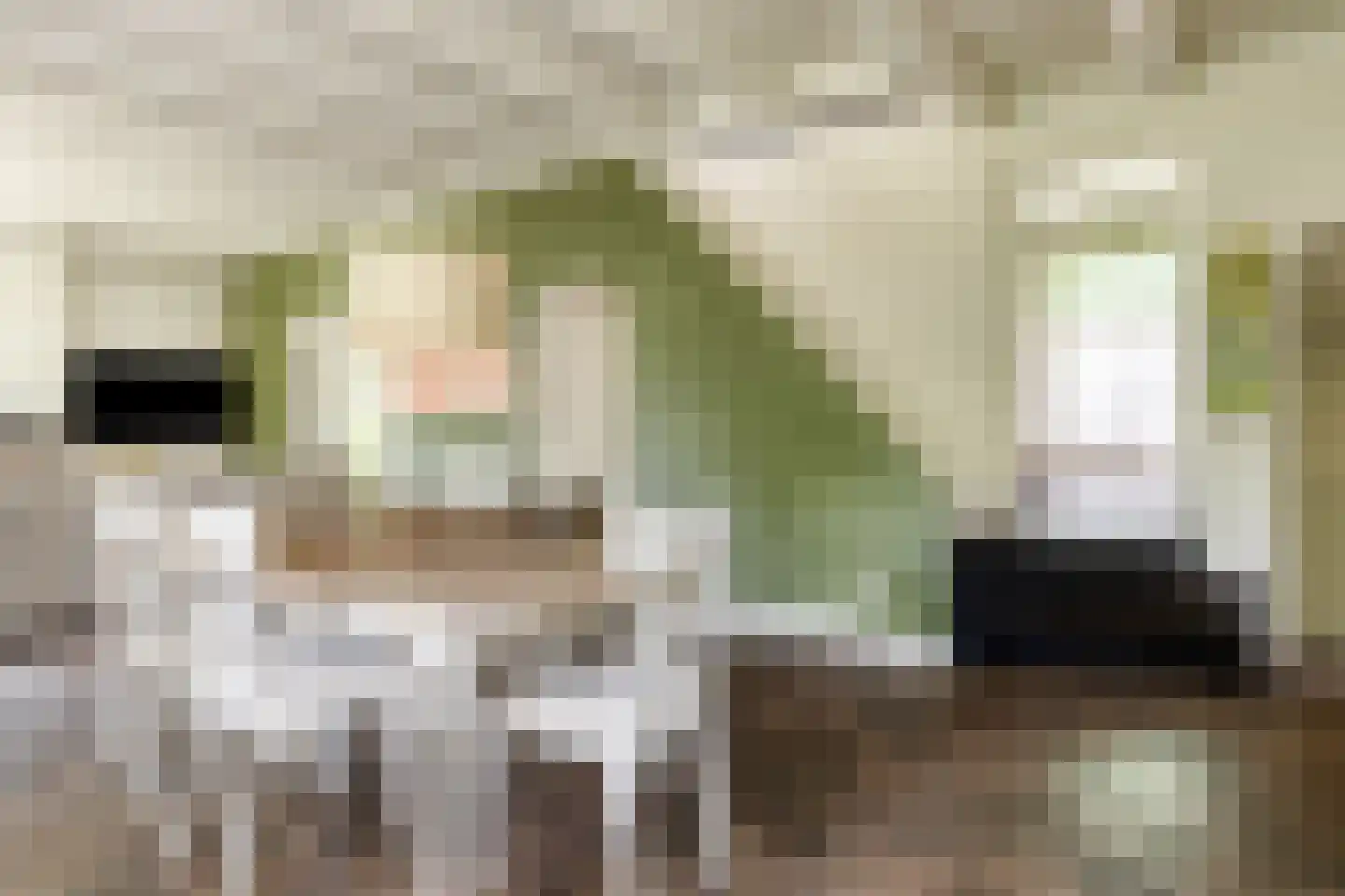 Oude Rijksweg 72 Rilland thumbnail 24