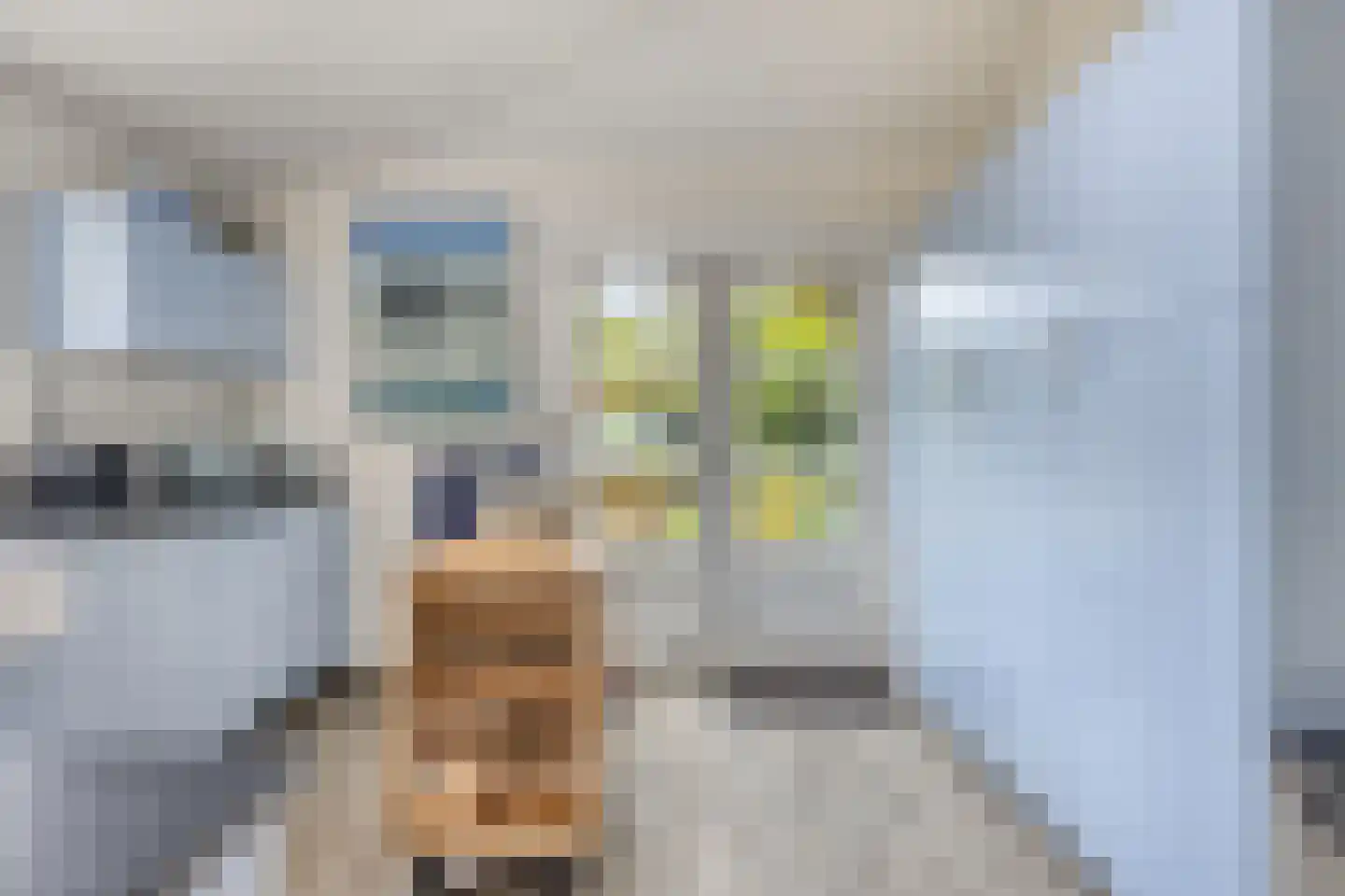 Oude Rijksweg 72 Rilland thumbnail 29