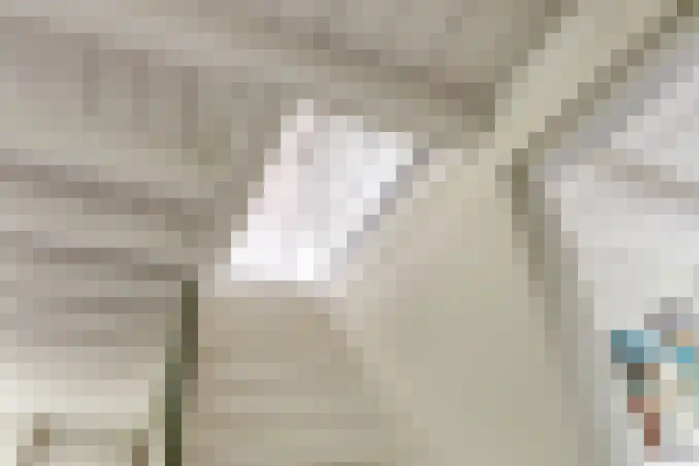 Oude Rijksweg 72 Rilland thumbnail 37