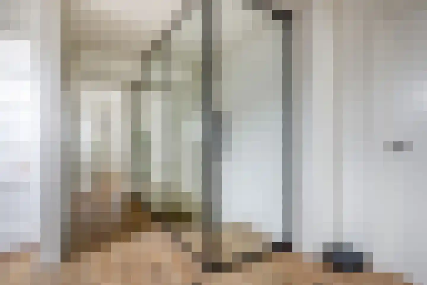 Oude Rijksweg 72 Rilland thumbnail 38