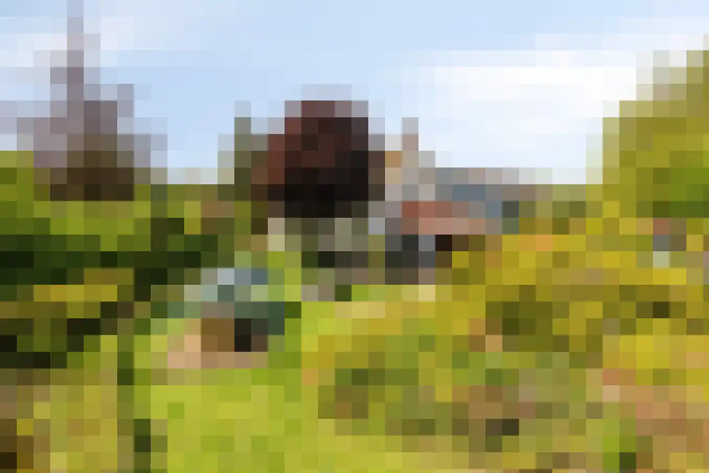 Oude Rijksweg 72 Rilland thumbnail 4