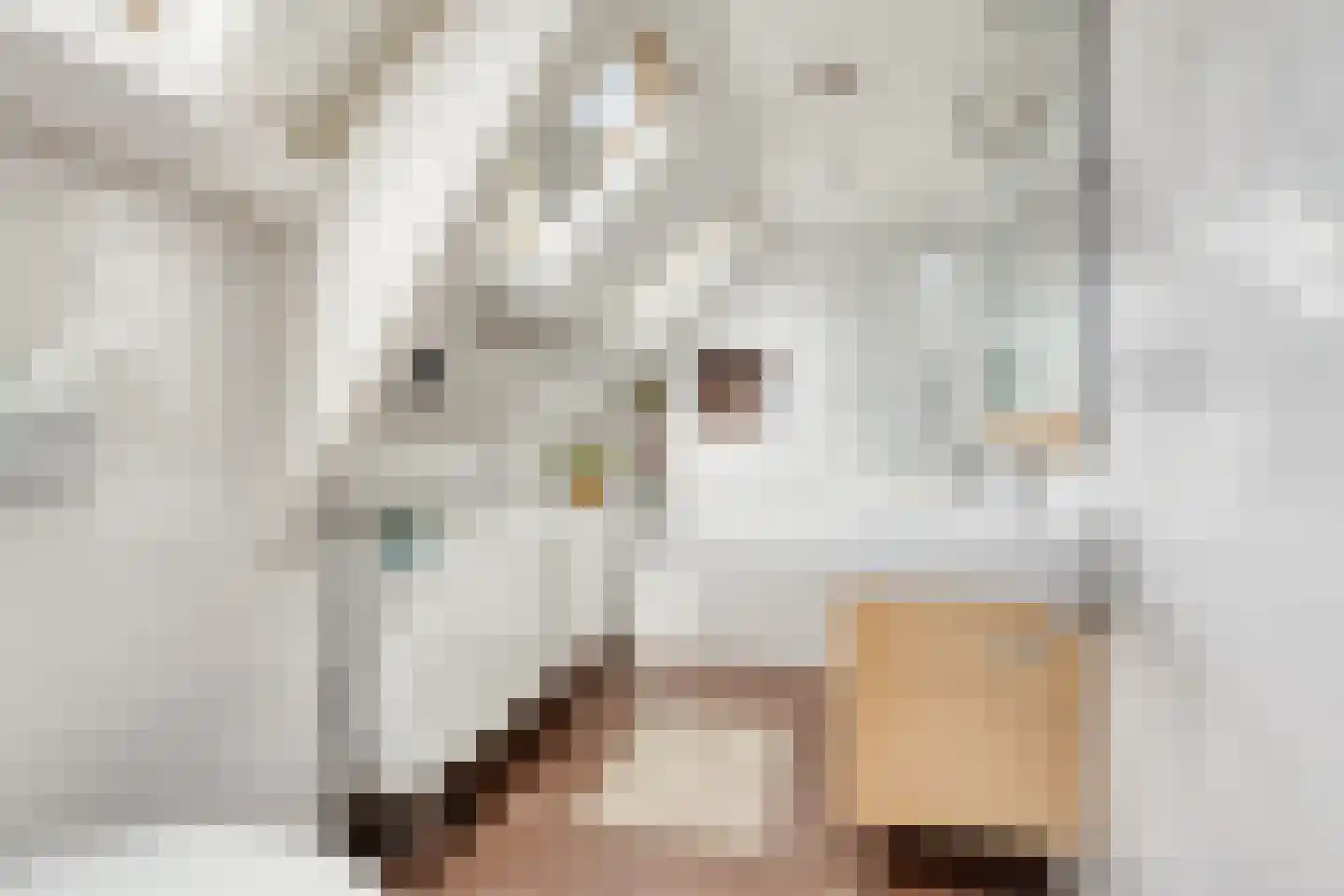 Oude Rijksweg 72 Rilland thumbnail 43