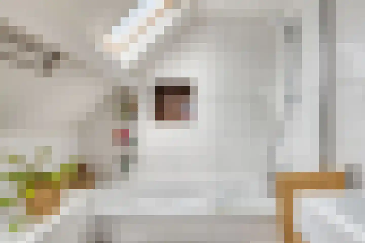Oude Rijksweg 72 Rilland thumbnail 44