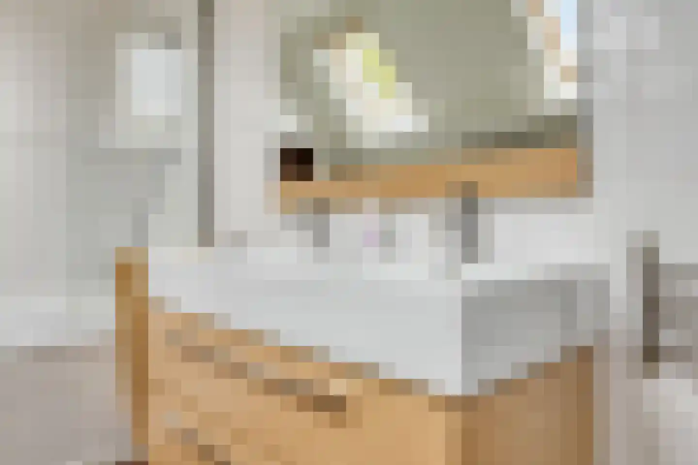 Oude Rijksweg 72 Rilland thumbnail 46