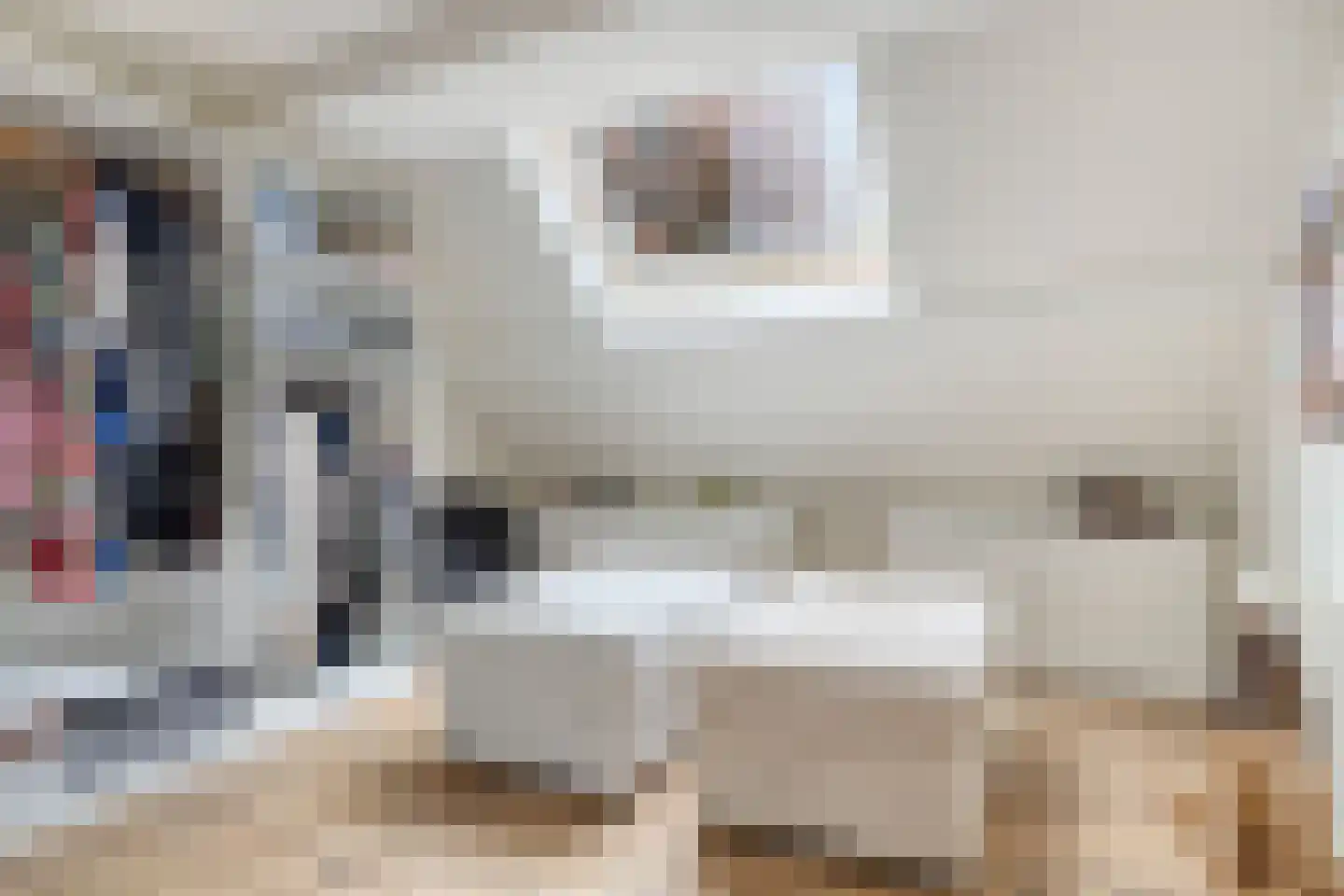 Oude Rijksweg 72 Rilland thumbnail 47