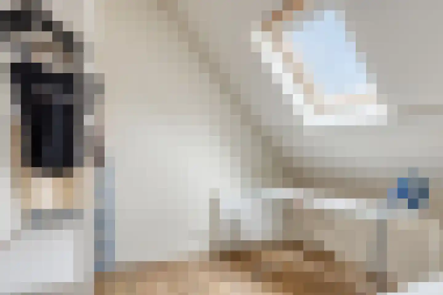 Oude Rijksweg 72 Rilland thumbnail 51