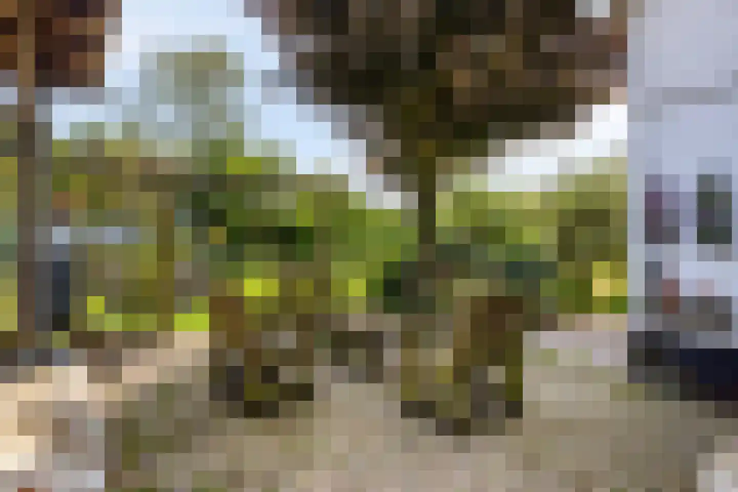 Oude Rijksweg 72 Rilland thumbnail 55