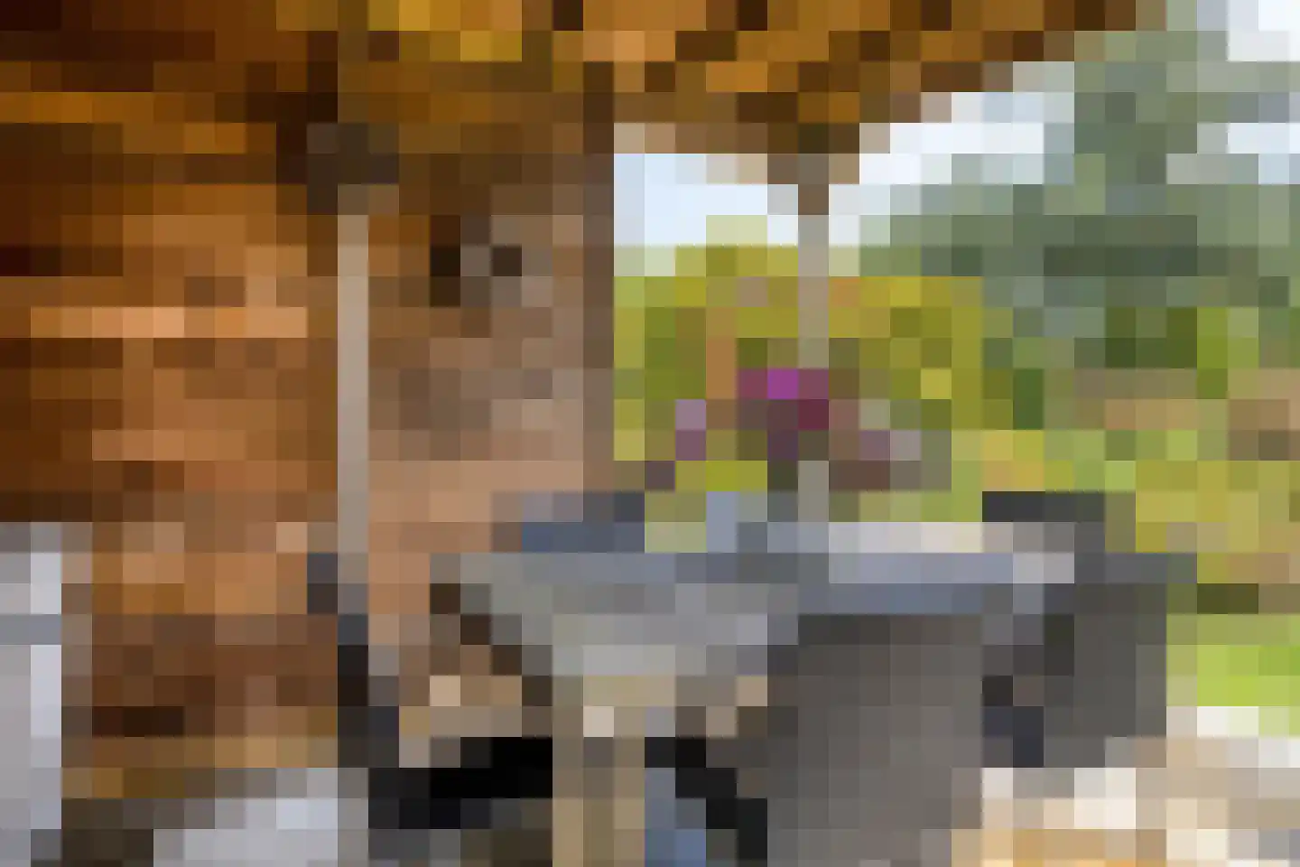 Oude Rijksweg 72 Rilland thumbnail 56