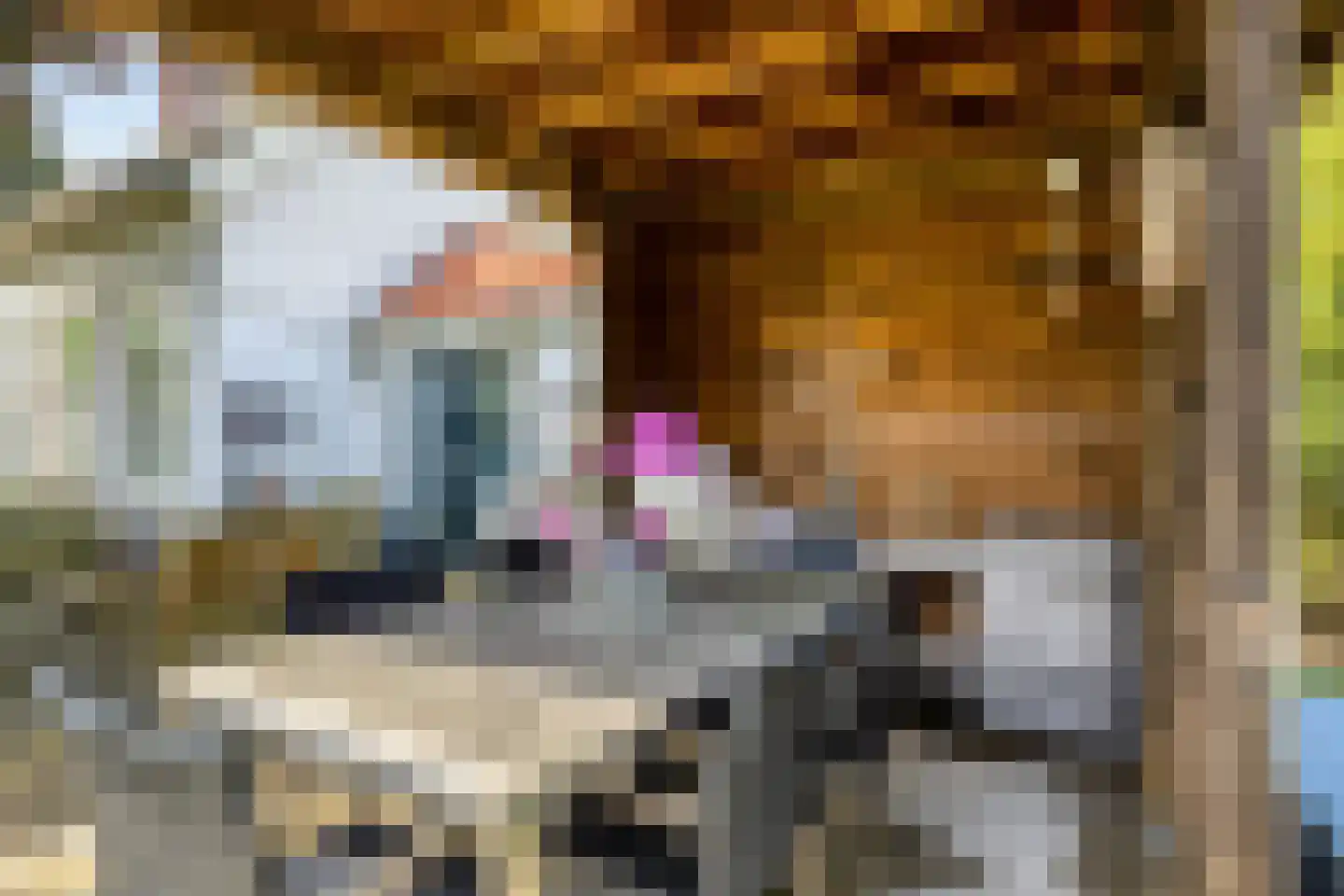 Oude Rijksweg 72 Rilland thumbnail 57