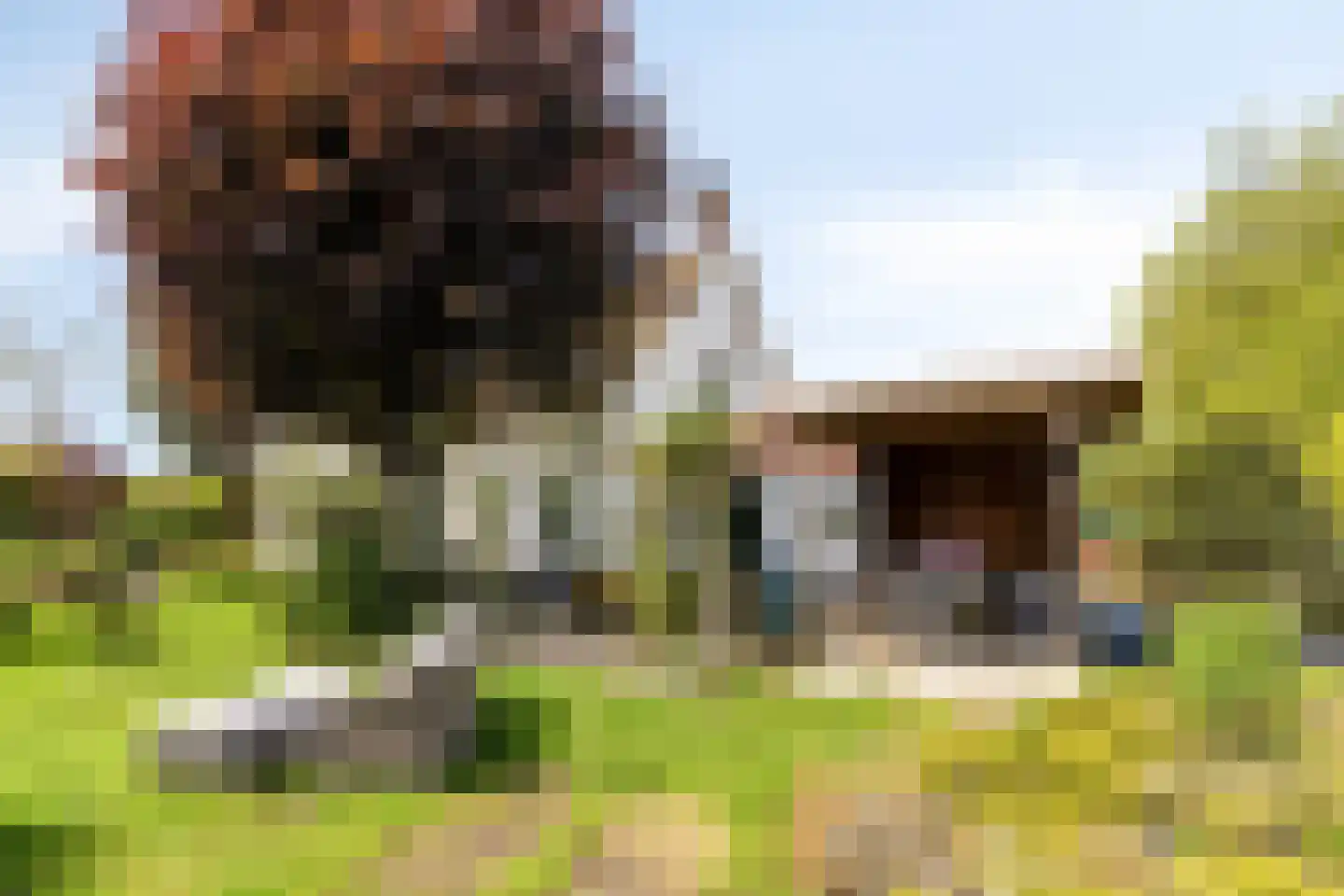 Oude Rijksweg 72 Rilland thumbnail 60