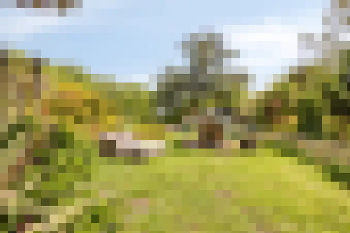 Oude Rijksweg 72 Rilland thumbnail 61