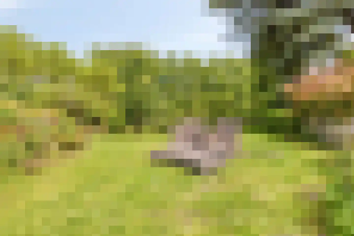 Oude Rijksweg 72 Rilland thumbnail 62